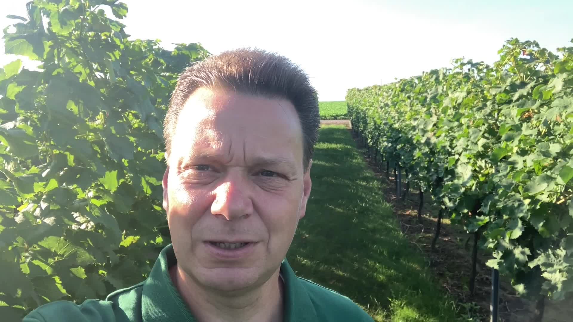 Saisonrückblick Weinbau Demo Biebelnheim 2023
