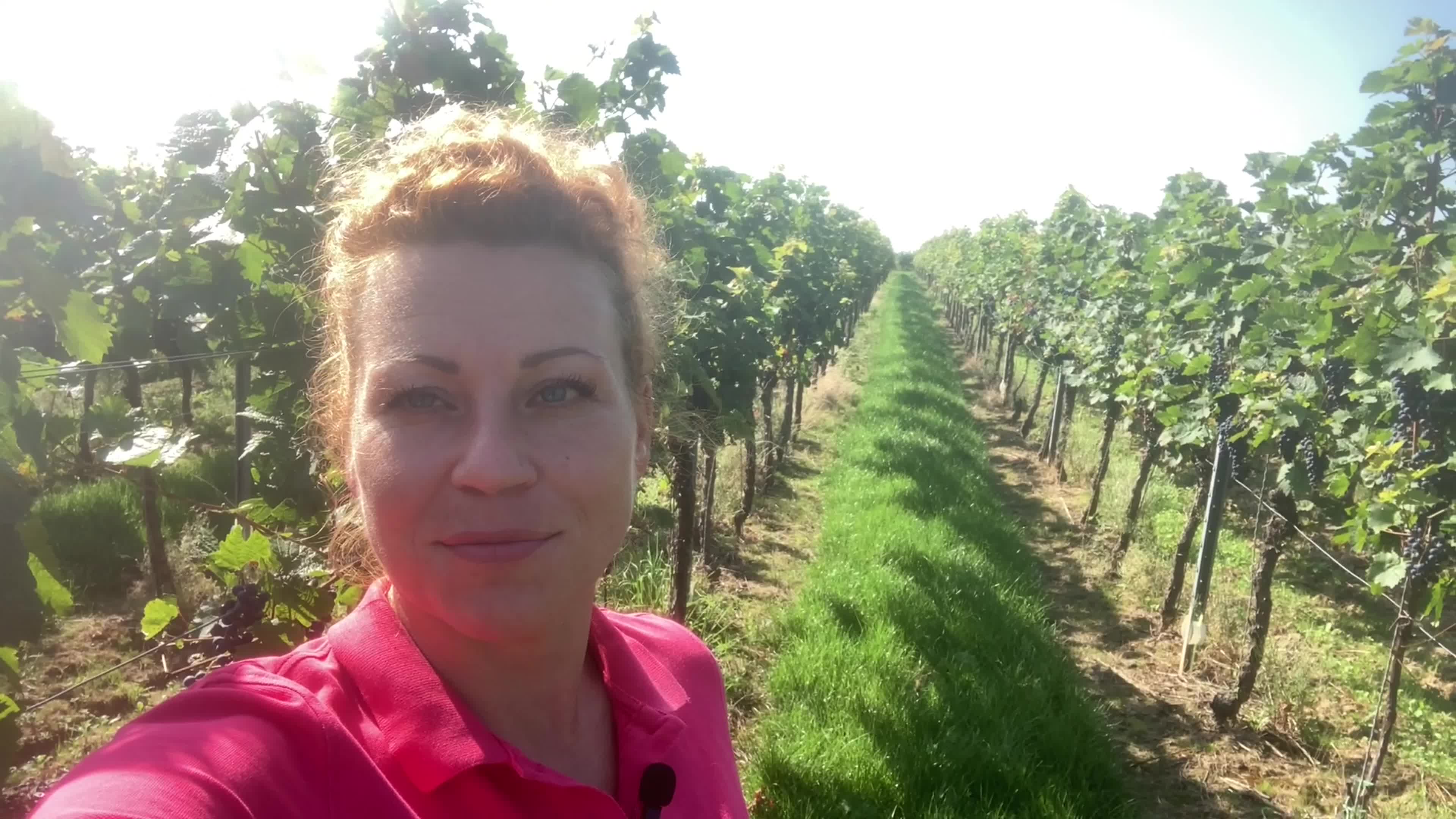 Rückblick Weinbautage - Diedesfeld 2023