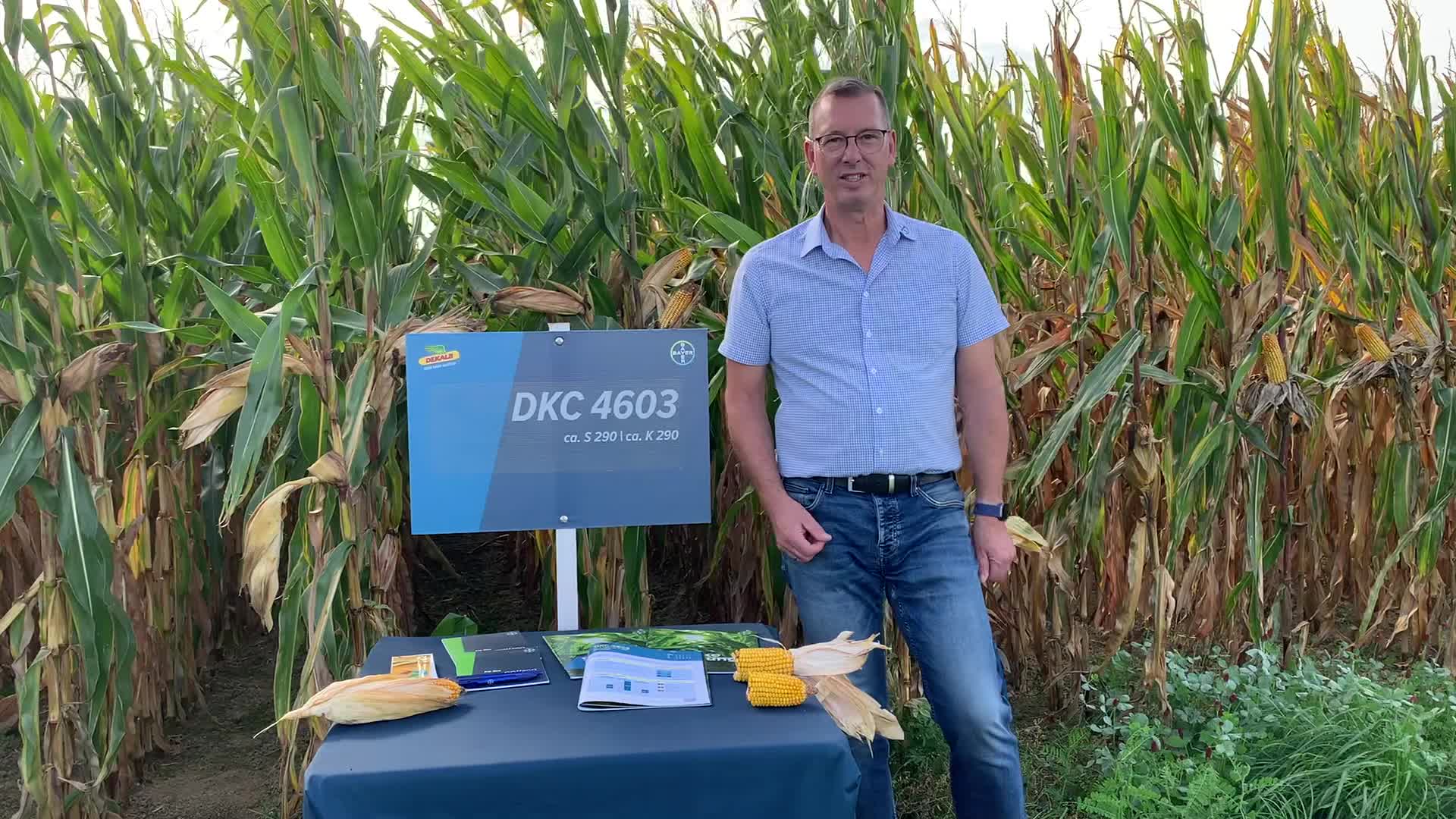 DKC 4603 - Auch als Doppelnutzer zu empfehlen!