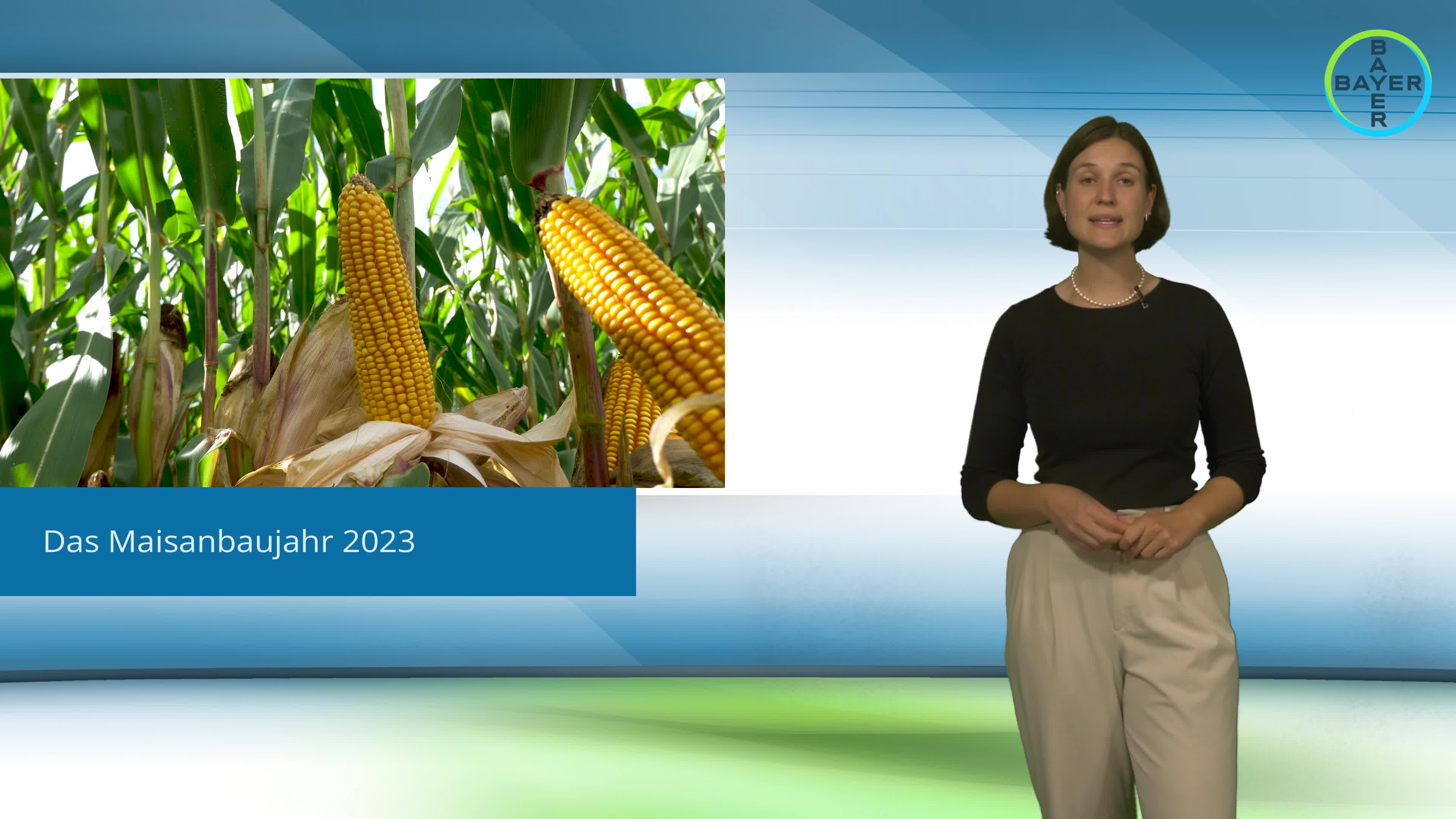 Standortreport Borken - Jahresrückblick im Mais