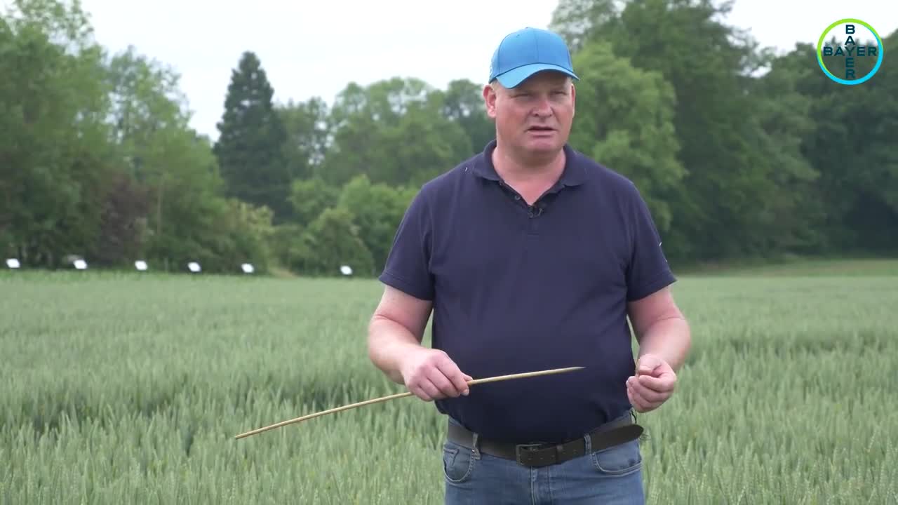 Standortreport Schirnau - Unsere wirksame Herbizidstrategie im Weizen