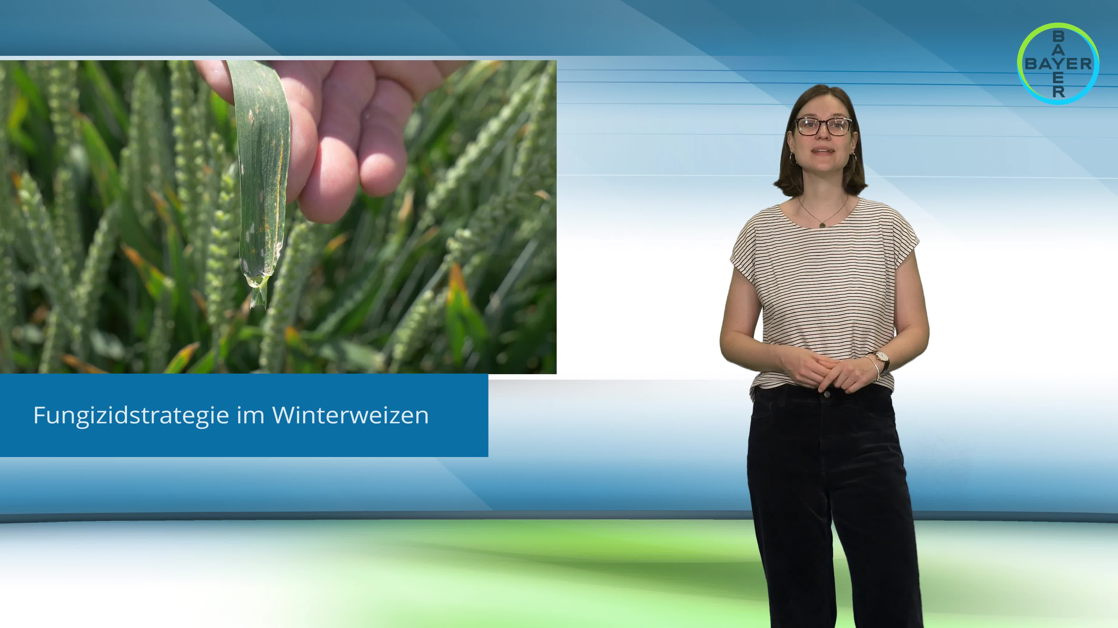 Standortreport Rommerskirchen - Unsere Fungizidstrategien im Winterweizen
