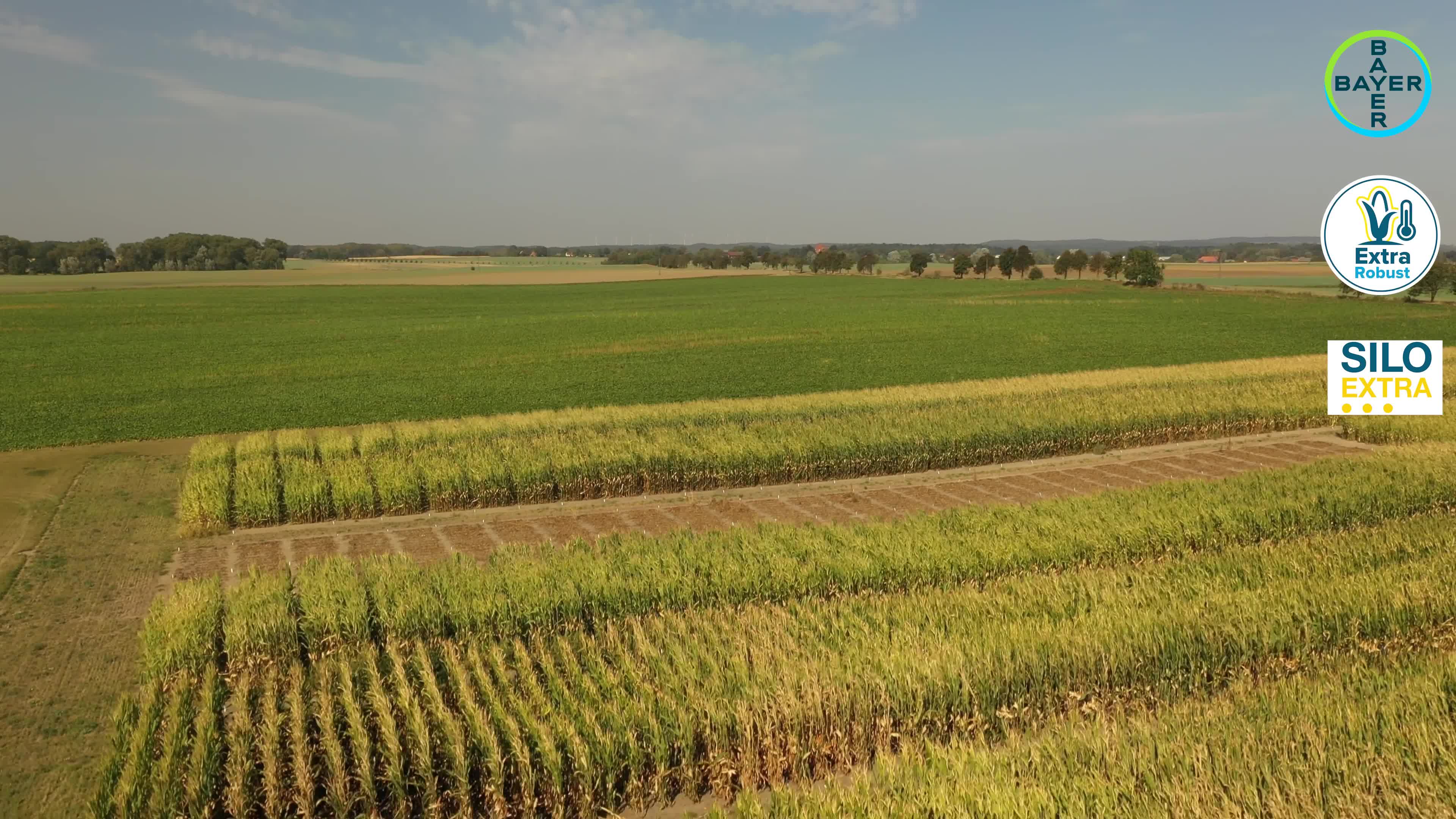 Standortreport Raden - DKC 3418 der bewährte Doppelnutzer!