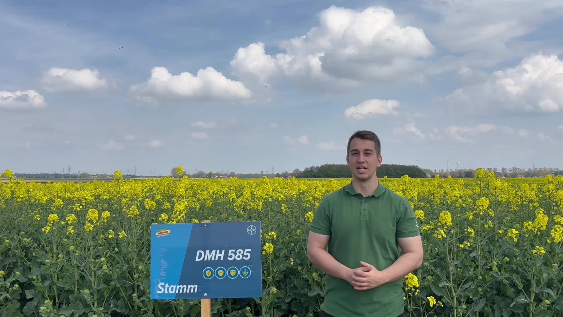 Neueste Genetik für Kohlhernieflächen