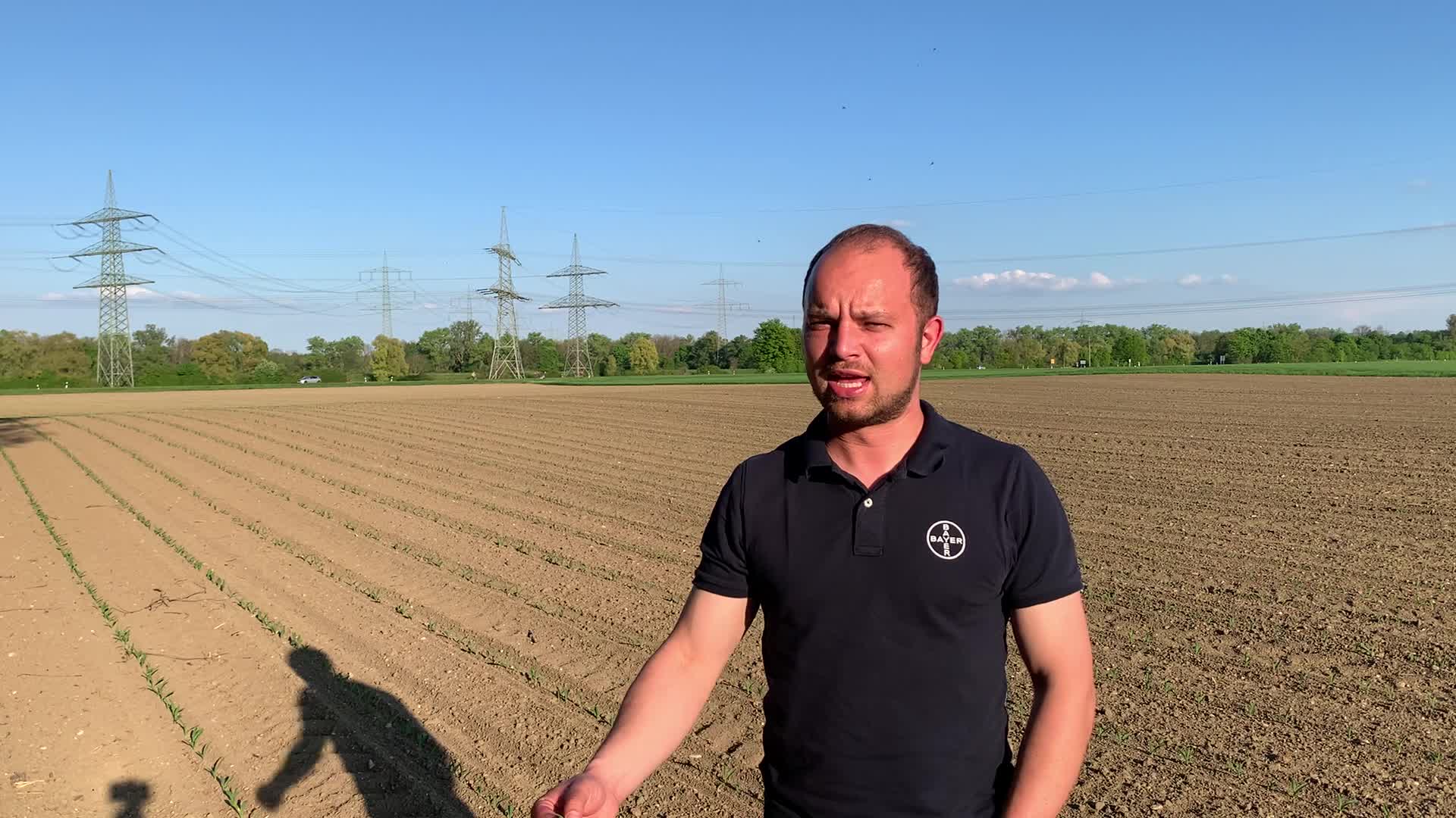 Jetzt die richtige Entscheidung im Mais treffen!