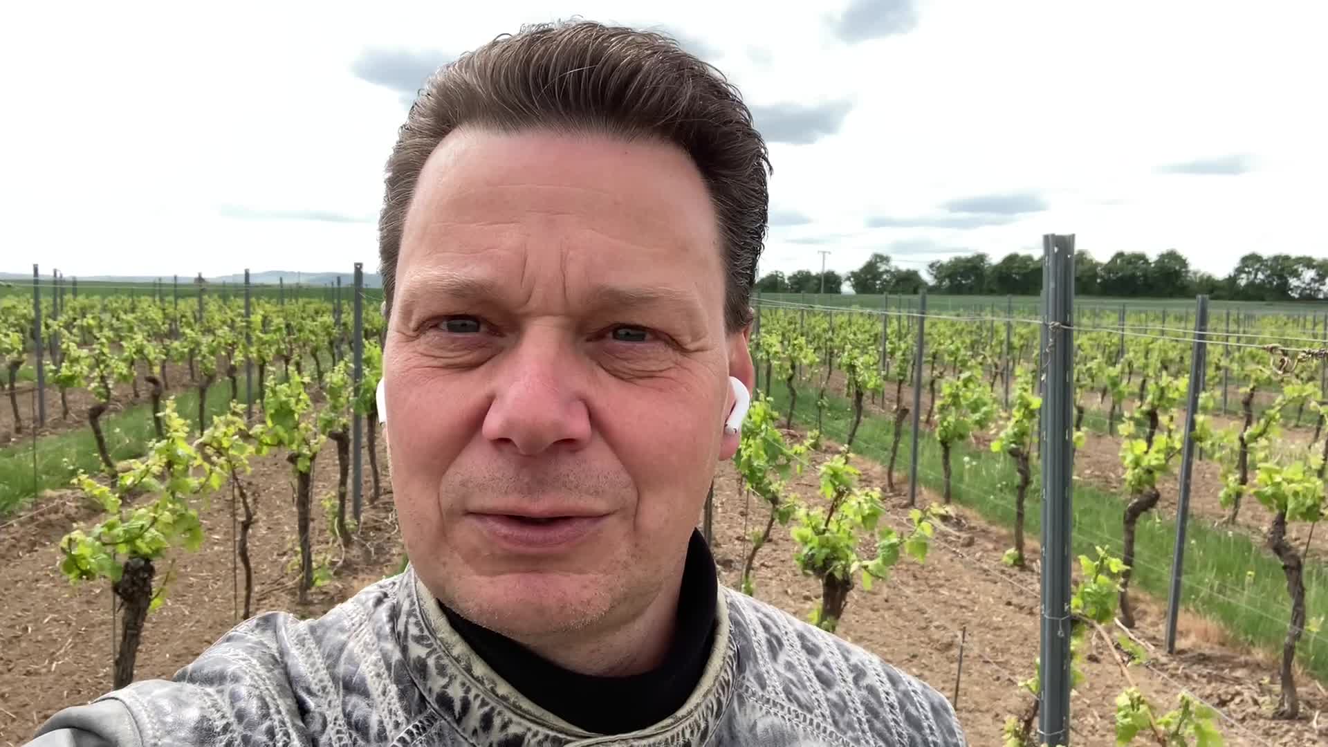 Aktuelle Rebschutz Empfehlung