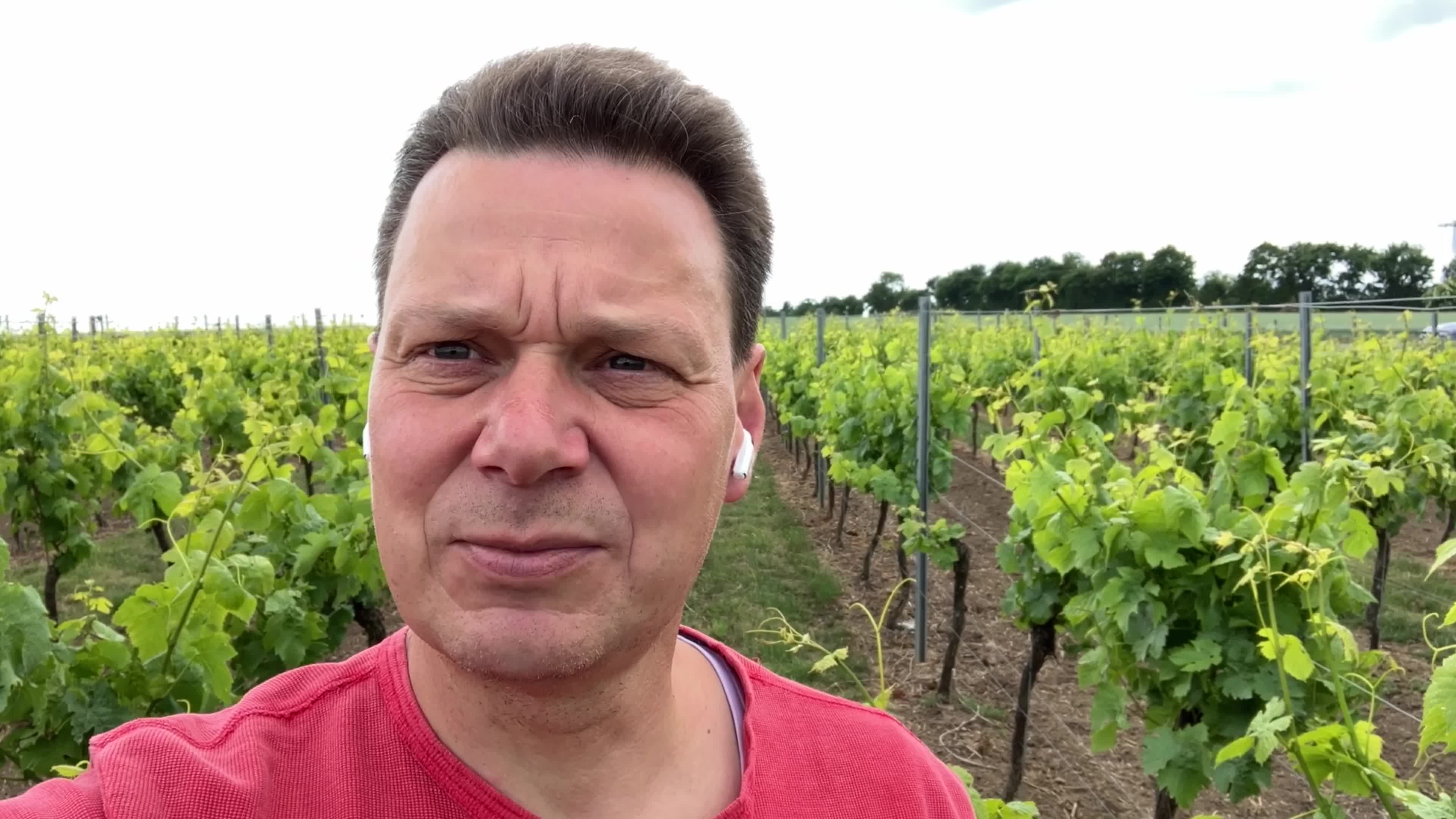 Rebschutzempfehlung zur Blüte 2025