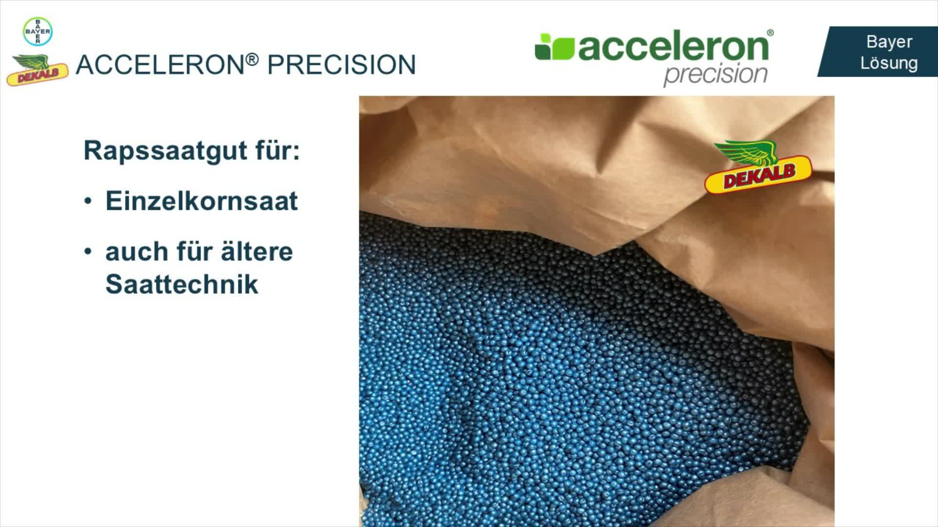 Precision Rapssaatgut für Einzelkornsaat oder ältere Saattechnik