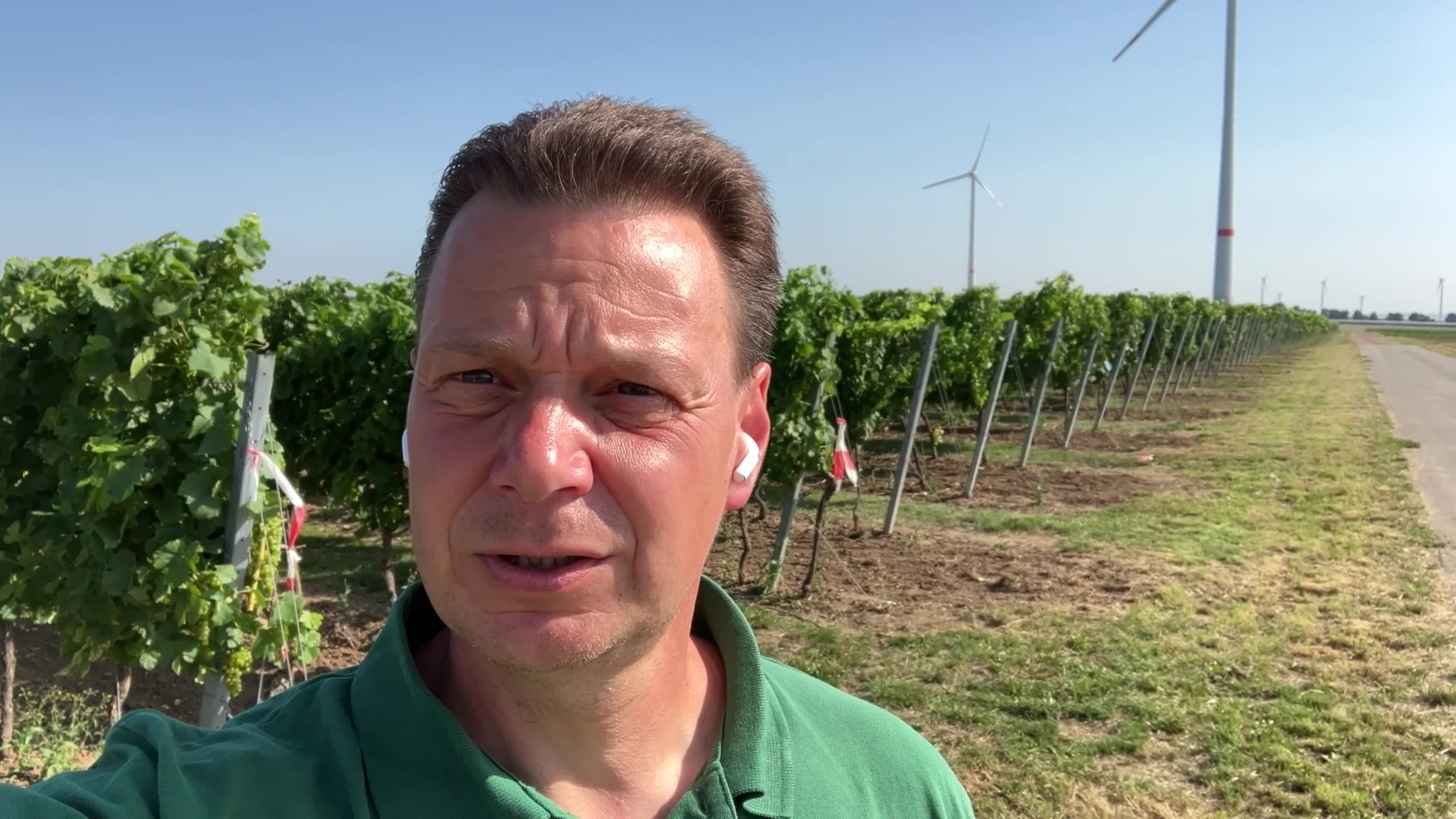 Nachlese: Weinbau Demo-Versuche Rheinhessen