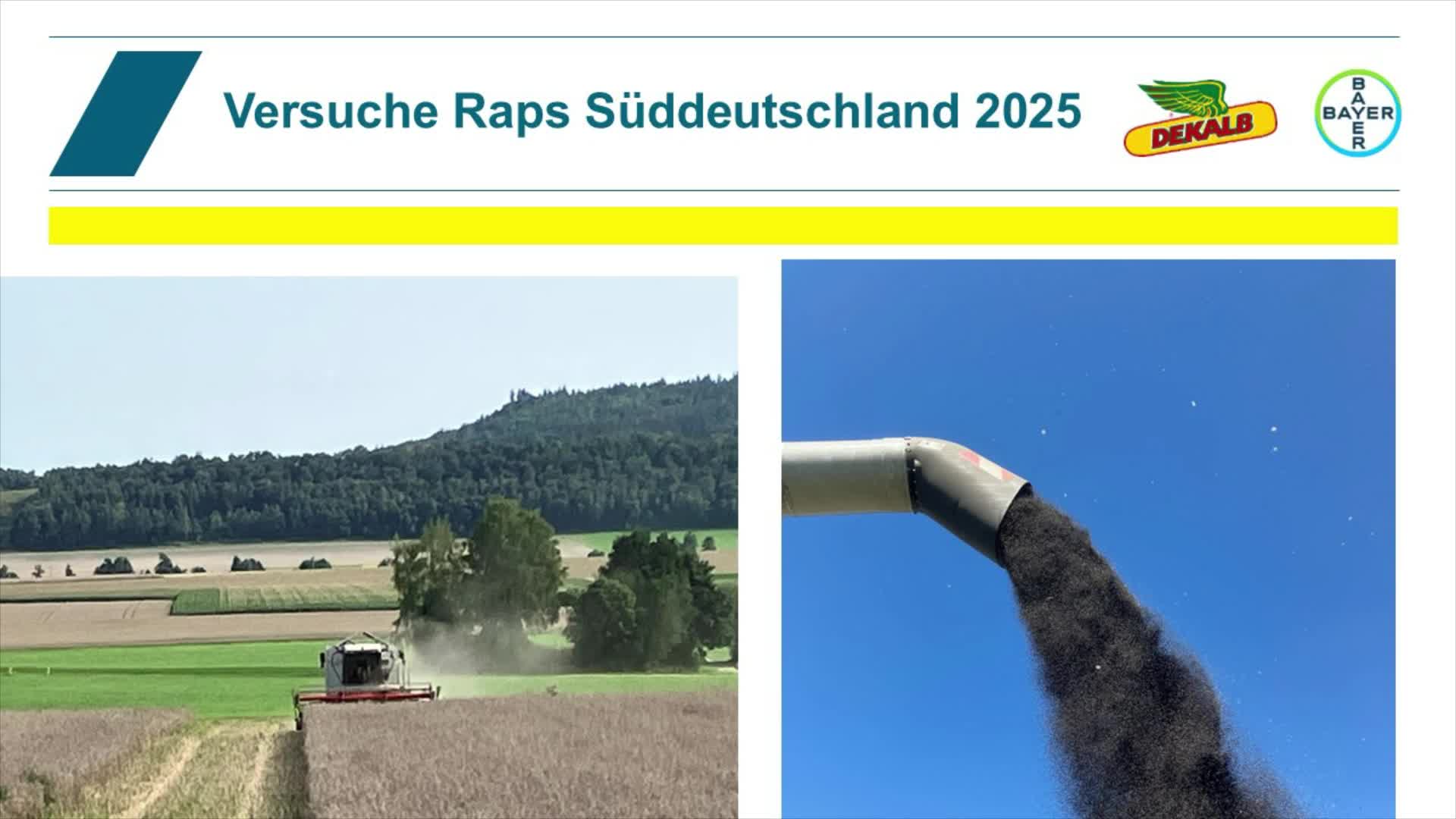 Ergebnisse Rapssortenversuche 2025 Süddeutschland