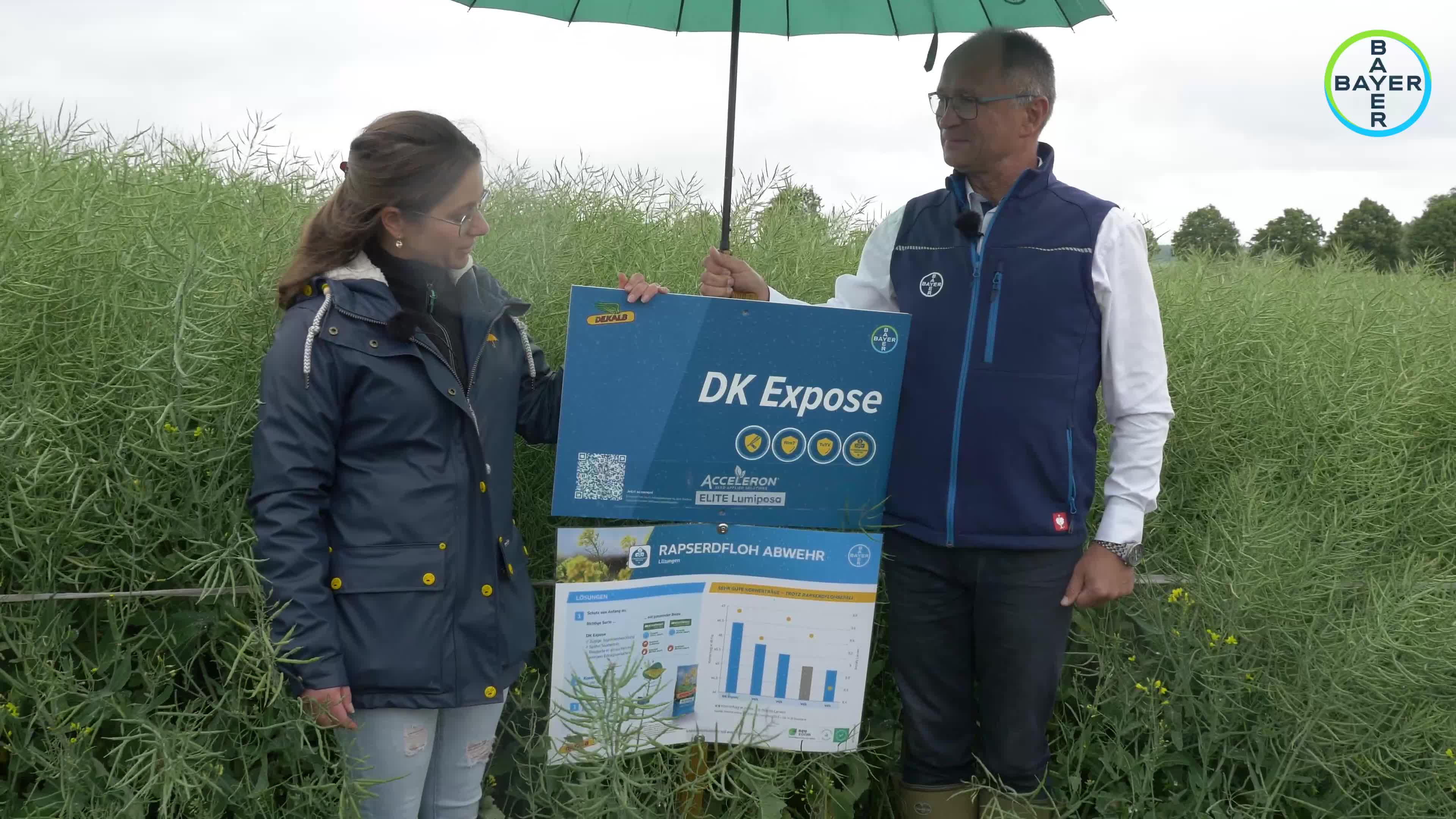 DK Expose: Leistungsstarke Rapssorte mit innovativen Eigenschaften