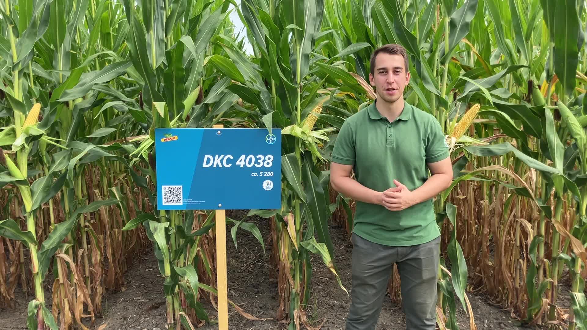 DKC 4038 - Masse mit Klasse