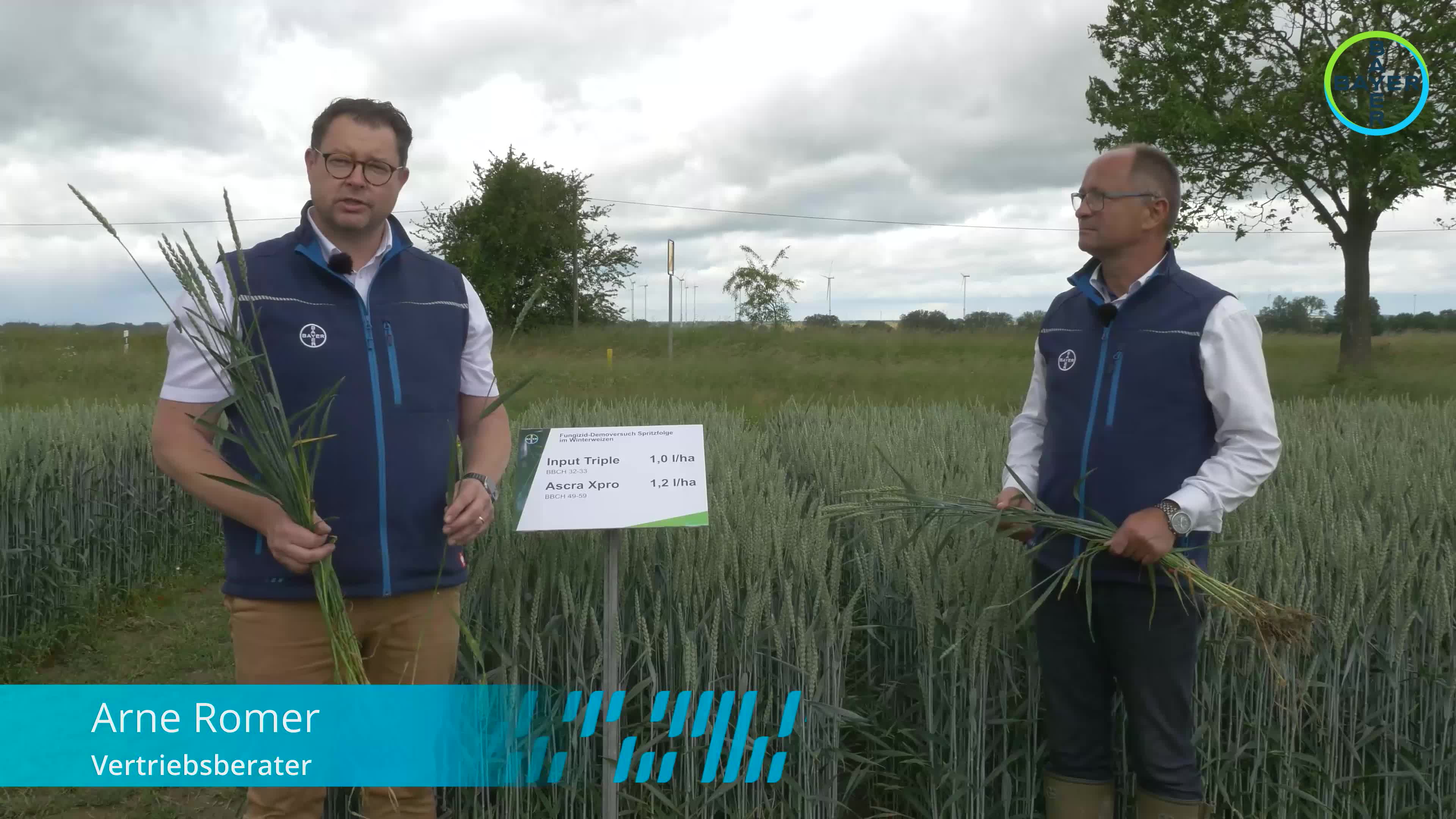 Standortreport Dauer - Fungizidstrategien im Winterweizen zur Absicherung von Ertrag und Blattgesundheit