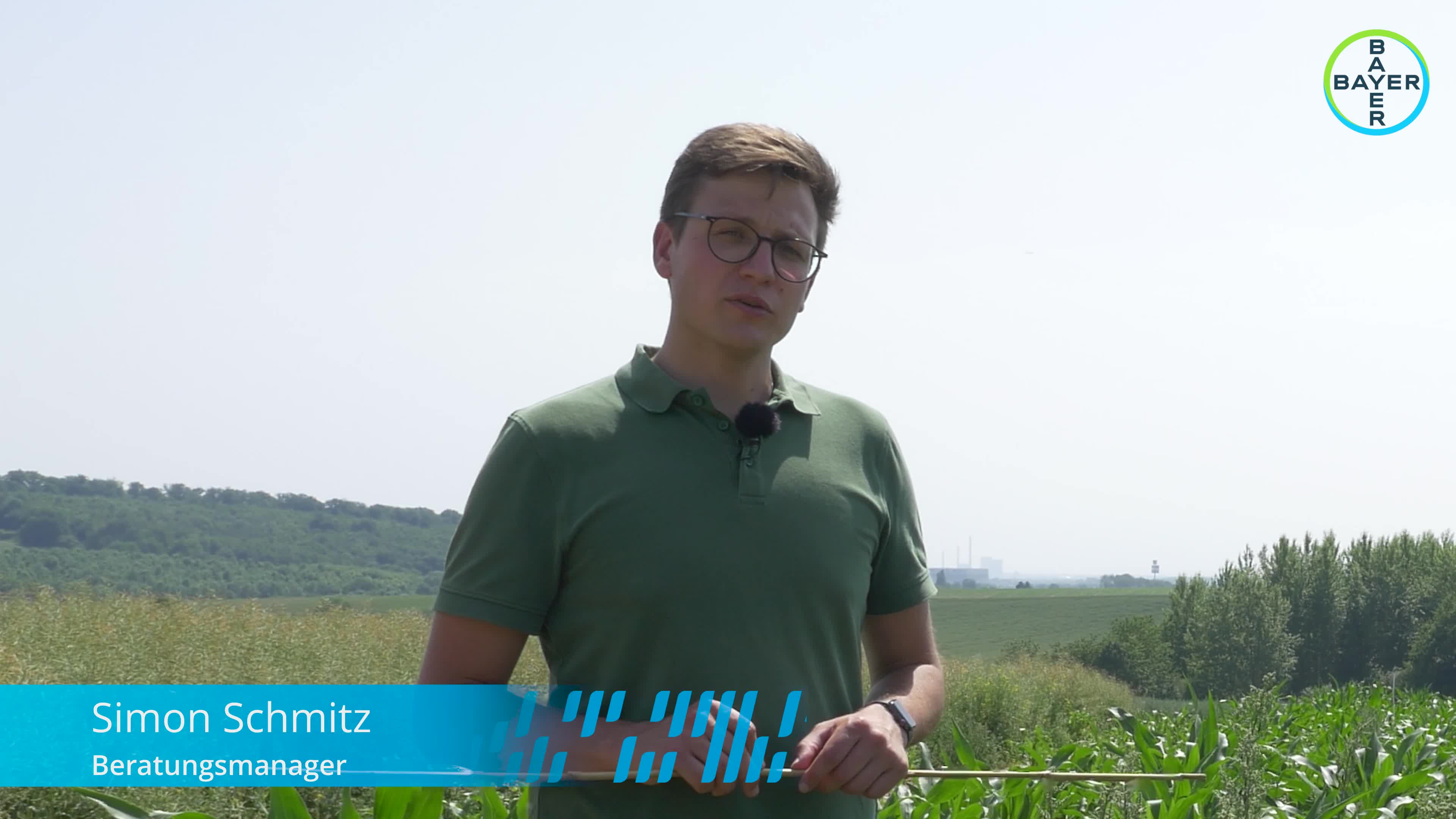 Standortreport Ronneburg - Herbizidstrategien im Mais unter Resistenzdruck und Wirkstoffwegfall